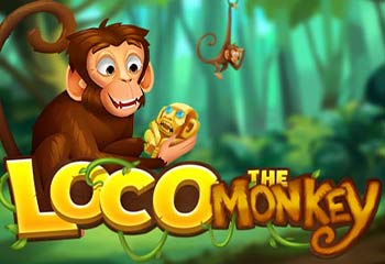 Loco the Monkey